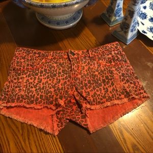 First Kiss Orange Leopard 🐆 Print Distressed Cutoff Shorts
